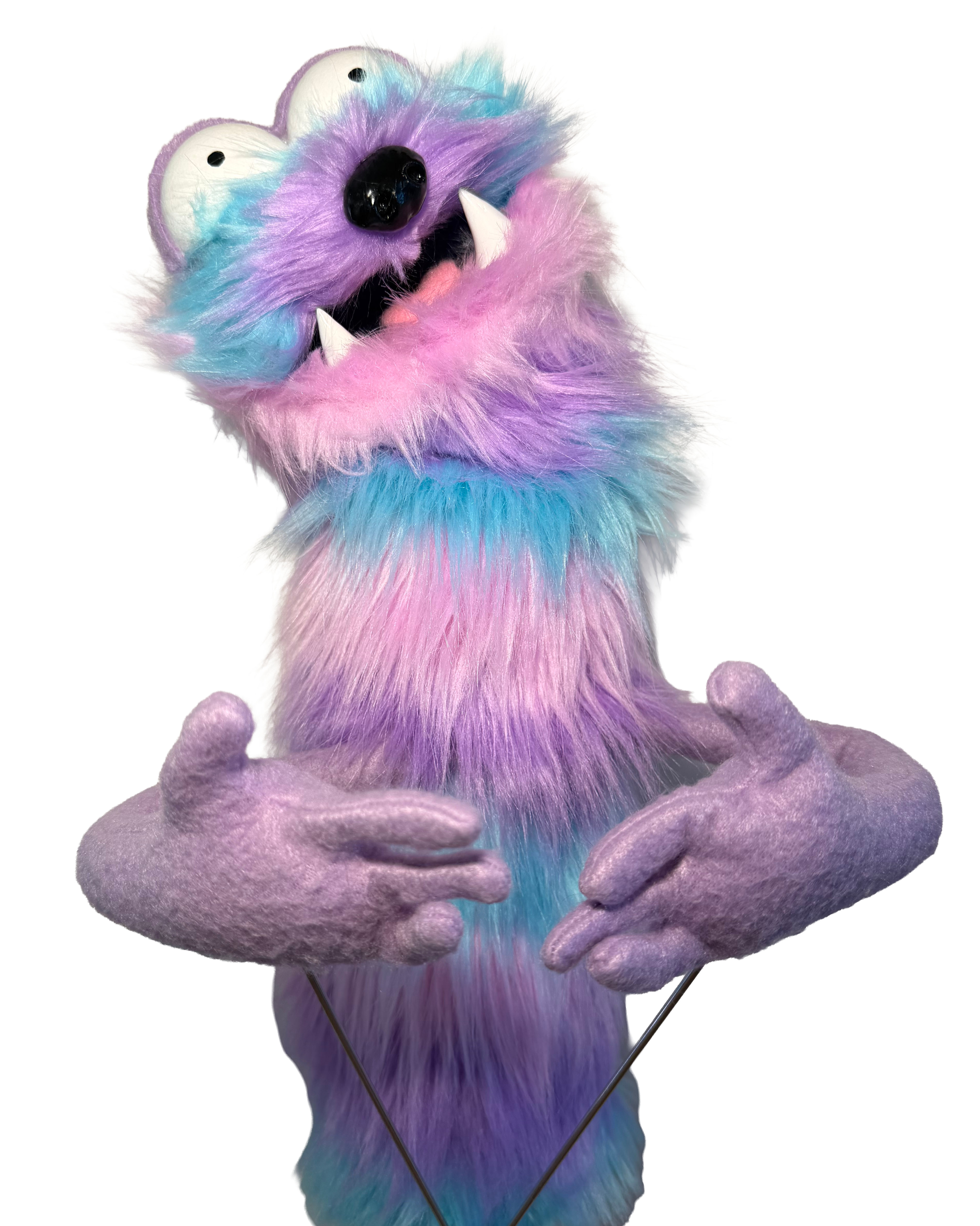 Placeholder photograph for The Other Twin